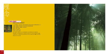 从“策划”到“设计” 企业形象构建的系统性实践